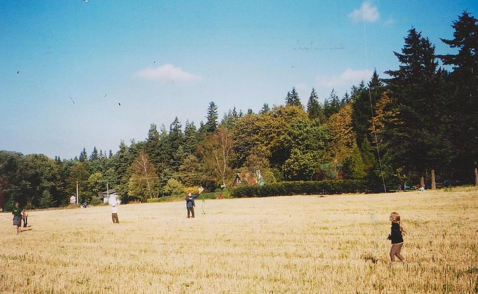 2001 29