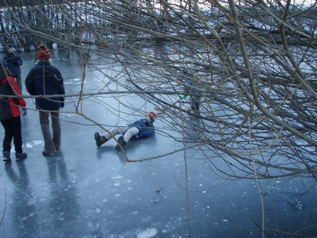 silvestr 2008 10