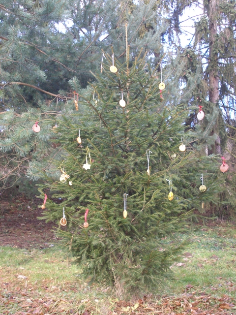 vanocni vyprava 34