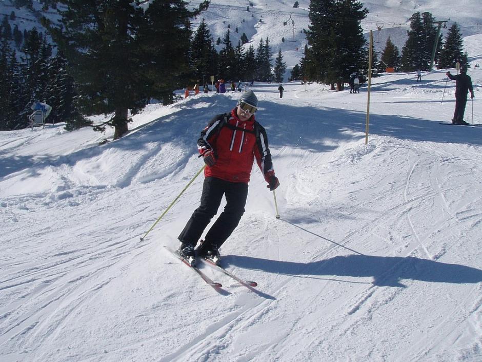 alpy2010 21