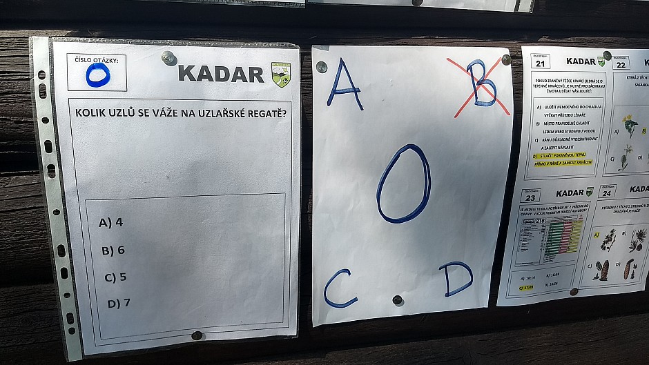 kadar 2018 (17)