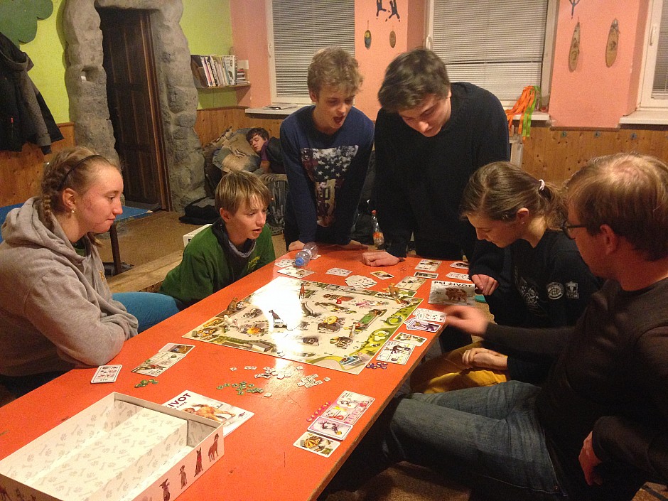 IMG 4571