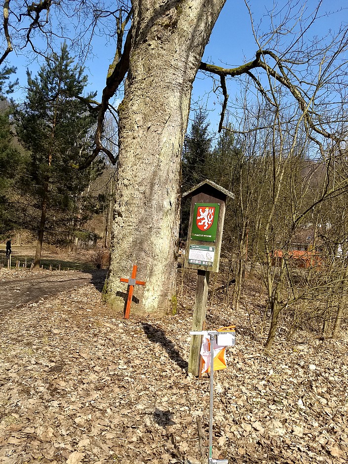 v údolí Bystřive - Severní Hvězda (5)