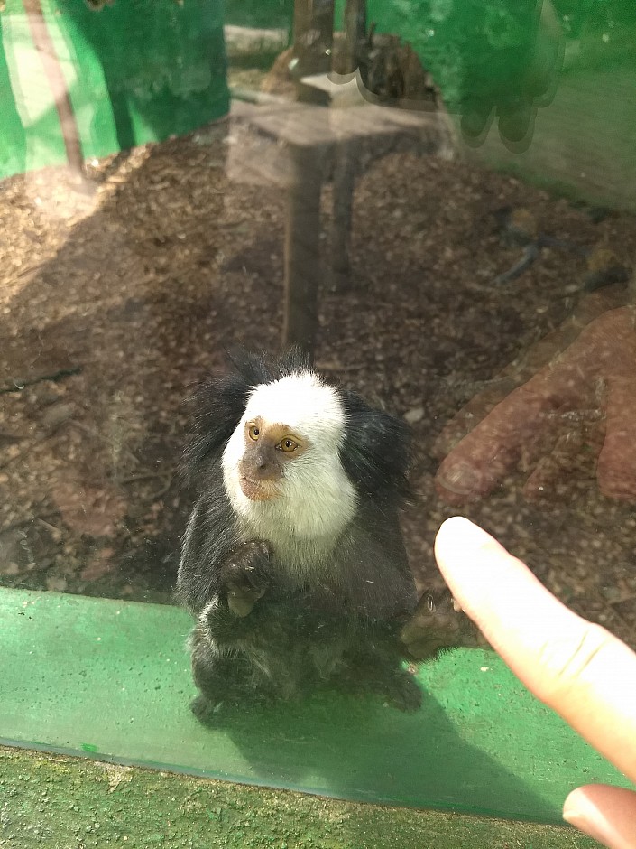 výprava ZOO (25)