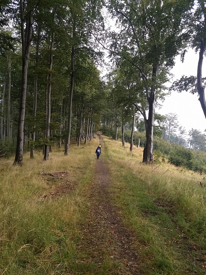 Sraz turistů zemí V4 - Maďarsko (101)