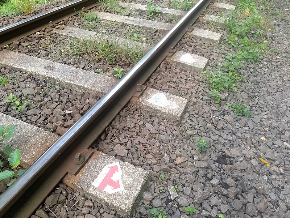 Sraz turistů zemí V4 - Maďarsko (48)