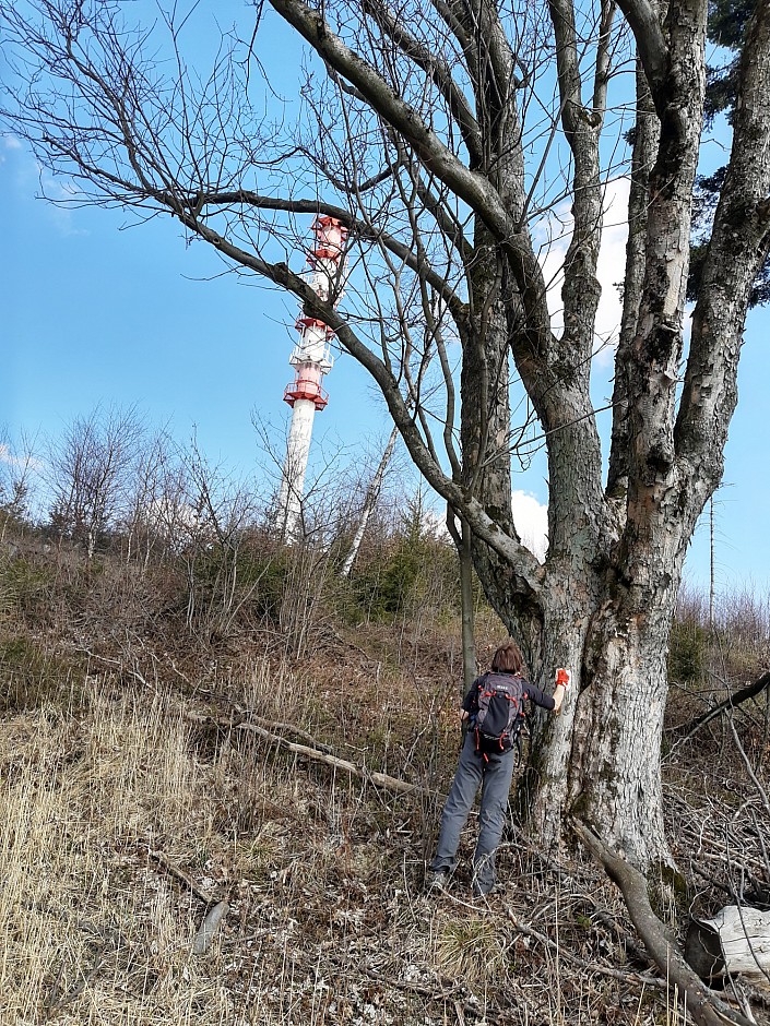 Značení Budišov - Podlesí - Guntramovice (14)