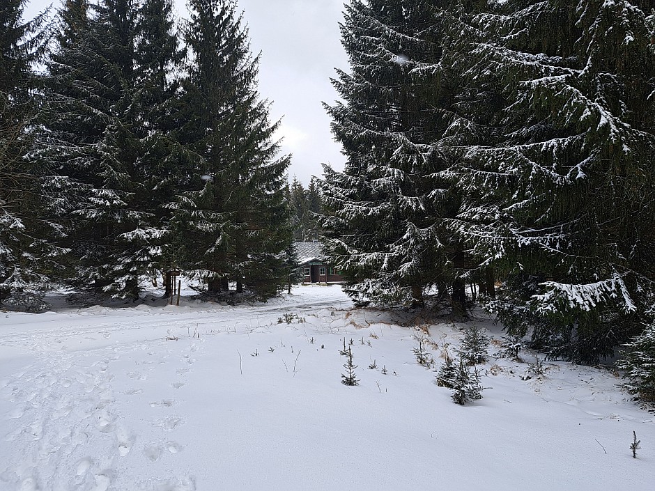 Jeseníky - Sedlovka (11)