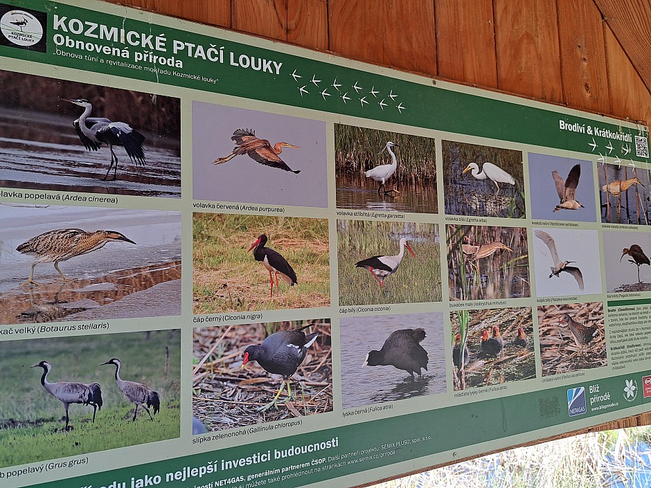 Kozmické louky - duben 2023 (7)