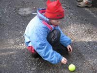IMG 0446