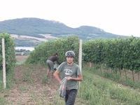 Cyklo 2008 74