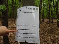 kadar 2014 (23)