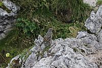 resized Letní táborová škola na Polaně 2014 (73)
