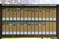 resized Letní táborová škola na Polaně 2014 (9)