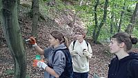 DSC 0019