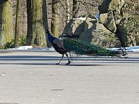 DSCN0297