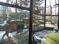 DSCN0307