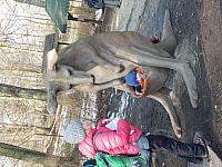 DSCN0315