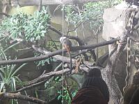 DSCN0317