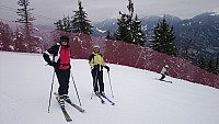 DSC 0006