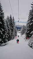 DSC 0109