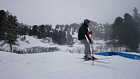 DSC 0201
