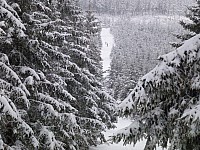 Bezky na Snieznik schronisko Mezinarodni zimni sraz 11.-14.2.2016 v Miedzygorze (11)