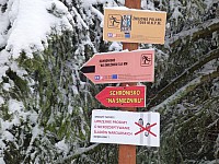 Bezky na Snieznik schronisko Mezinarodni zimni sraz 11.-14.2.2016 v Miedzygorze (7)