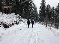 IMG 1394