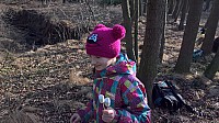 WP 20160206 14 11 34 Pro