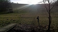 WP 20160206 15 25 55 Pro