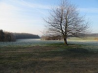 IMG 1354