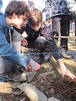 IMG 1368