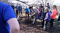 IMG 20160402 101112