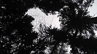 20160109 151307