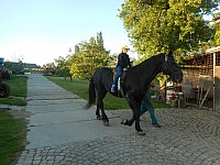 2018 063