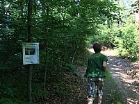 IMG 7109