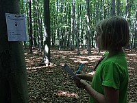 IMG 7118