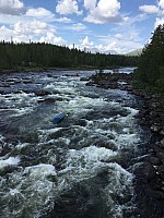 IMG 4378