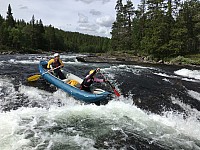 IMG 4392