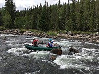 IMG 4401