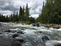 IMG 4411