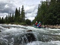 IMG 4415