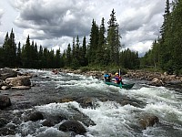 IMG 4416