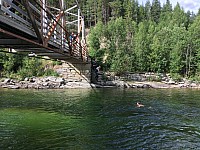 IMG 4420