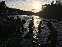 IMG 4429