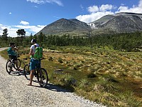 IMG 4452
