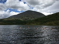 IMG 4477
