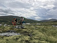 IMG 4481