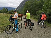 IMG 4494